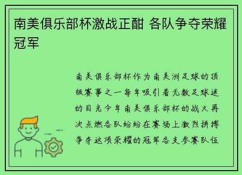 南美俱乐部杯激战正酣 各队争夺荣耀冠军